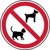 No Pets